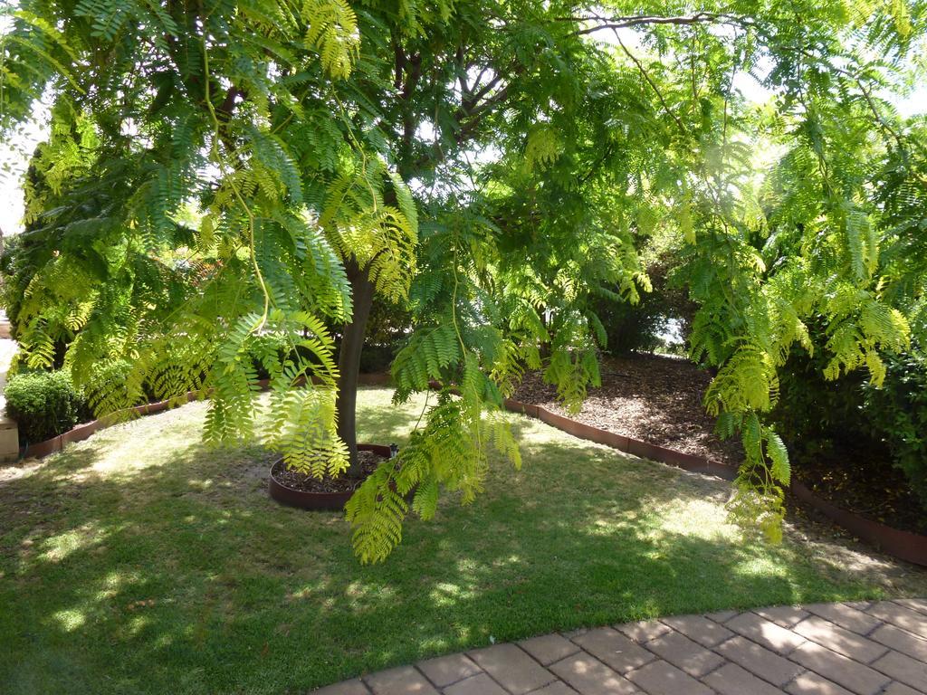 Colonial Motor Inn Bairnsdale Golden Chain Property Екстер'єр фото